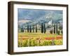 Italy, Tuscany. Vineyard and Olive Trees with the Abbey of Sant Antimo-Julie Eggers-Framed Photographic Print