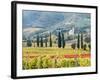Italy, Tuscany. Vineyard and Olive Trees with the Abbey of Sant Antimo-Julie Eggers-Framed Photographic Print