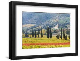 Italy, Tuscany. Vineyard and Olive Trees with the Abbey of Sant Antimo-Julie Eggers-Framed Photographic Print