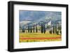 Italy, Tuscany. Vineyard and Olive Trees with the Abbey of Sant Antimo-Julie Eggers-Framed Photographic Print