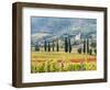 Italy, Tuscany. Vineyard and Olive Trees with the Abbey of Sant Antimo-Julie Eggers-Framed Photographic Print