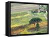 Italy, Tuscany. Vineyard and Trees in the Chianti Region-Julie Eggers-Framed Stretched Canvas