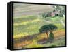 Italy, Tuscany. Vineyard and Trees in the Chianti Region-Julie Eggers-Framed Stretched Canvas