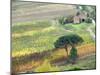 Italy, Tuscany. Vineyard and Trees in the Chianti Region-Julie Eggers-Mounted Premium Photographic Print