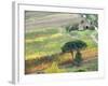 Italy, Tuscany. Vineyard and Trees in the Chianti Region-Julie Eggers-Framed Photographic Print