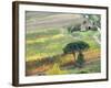 Italy, Tuscany. Vineyard and Trees in the Chianti Region-Julie Eggers-Framed Photographic Print