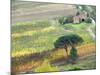 Italy, Tuscany. Vineyard and Trees in the Chianti Region-Julie Eggers-Mounted Photographic Print