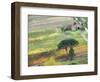Italy, Tuscany. Vineyard and Trees in the Chianti Region-Julie Eggers-Framed Photographic Print