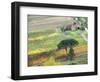 Italy, Tuscany. Vineyard and Trees in the Chianti Region-Julie Eggers-Framed Photographic Print