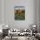 Italy,Tuscany. Vineyard in Autumn in the Chianti Region of Tuscany-Julie Eggers-Photographic Print displayed on a wall