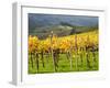 Italy, Tuscany. Vineyard in Autumn in the Chianti Region of Tuscany-Julie Eggers-Framed Premium Photographic Print