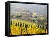 Italy, Tuscany. Vineyard in Autumn in the Chianti Region of Tuscany-Julie Eggers-Framed Stretched Canvas