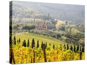 Italy, Tuscany. Vineyard in Autumn in the Chianti Region of Tuscany-Julie Eggers-Stretched Canvas