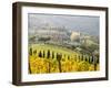 Italy, Tuscany. Vineyard in Autumn in the Chianti Region of Tuscany-Julie Eggers-Framed Premium Photographic Print