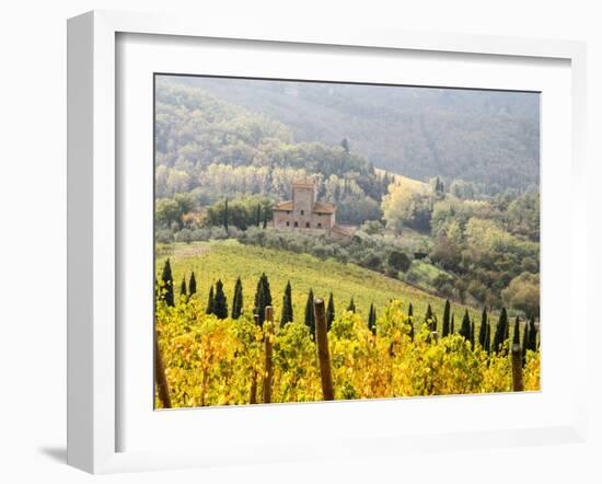 Italy, Tuscany. Vineyard in Autumn in the Chianti Region of Tuscany-Julie Eggers-Framed Premium Photographic Print