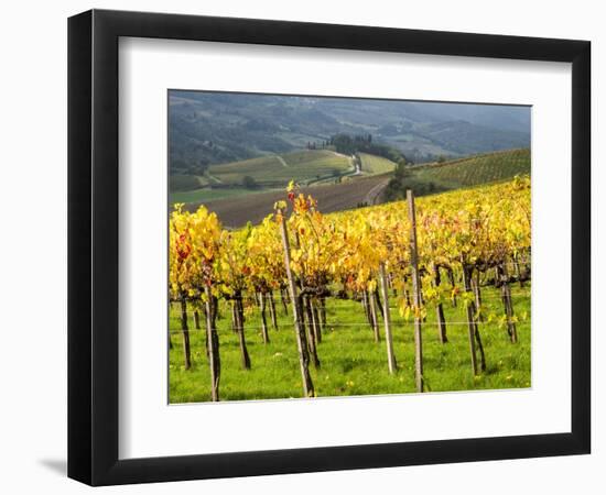 Italy, Tuscany. Vineyard in Autumn in the Chianti Region of Tuscany-Julie Eggers-Framed Photographic Print