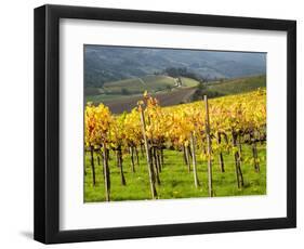 Italy, Tuscany. Vineyard in Autumn in the Chianti Region of Tuscany-Julie Eggers-Framed Photographic Print