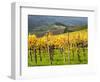 Italy, Tuscany. Vineyard in Autumn in the Chianti Region of Tuscany-Julie Eggers-Framed Photographic Print