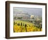 Italy, Tuscany. Vineyard in Autumn in the Chianti Region of Tuscany-Julie Eggers-Framed Photographic Print