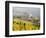 Italy, Tuscany. Vineyard in Autumn in the Chianti Region of Tuscany-Julie Eggers-Framed Photographic Print