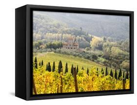 Italy, Tuscany. Vineyard in Autumn in the Chianti Region of Tuscany-Julie Eggers-Framed Stretched Canvas