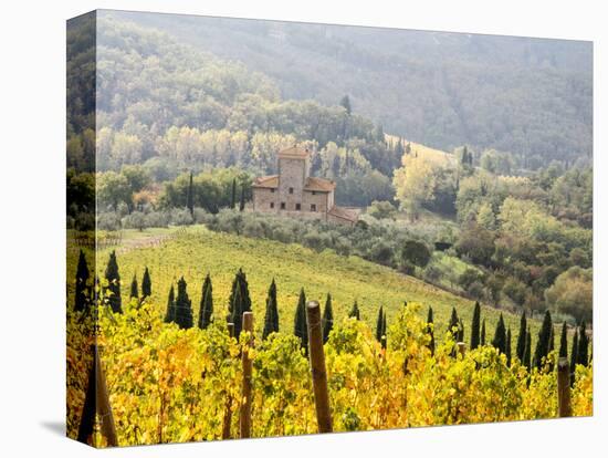 Italy, Tuscany. Vineyard in Autumn in the Chianti Region of Tuscany-Julie Eggers-Stretched Canvas