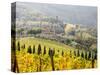 Italy, Tuscany. Vineyard in Autumn in the Chianti Region of Tuscany-Julie Eggers-Stretched Canvas