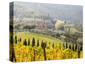 Italy, Tuscany. Vineyard in Autumn in the Chianti Region of Tuscany-Julie Eggers-Stretched Canvas