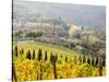 Italy, Tuscany. Vineyard in Autumn in the Chianti Region of Tuscany-Julie Eggers-Stretched Canvas