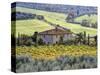 Italy, Tuscany. Vineyards and Olive Trees in Autumn by a House-Julie Eggers-Stretched Canvas