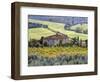 Italy, Tuscany. Vineyards and Olive Trees in Autumn by a House-Julie Eggers-Framed Photographic Print