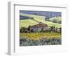 Italy, Tuscany. Vineyards and Olive Trees in Autumn by a House-Julie Eggers-Framed Photographic Print