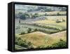 Italy, Tuscany. Vineyards and Olive Trees in Autumn in the Val Dorcia-Julie Eggers-Framed Stretched Canvas