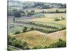 Italy, Tuscany. Vineyards and Olive Trees in Autumn in the Val Dorcia-Julie Eggers-Stretched Canvas