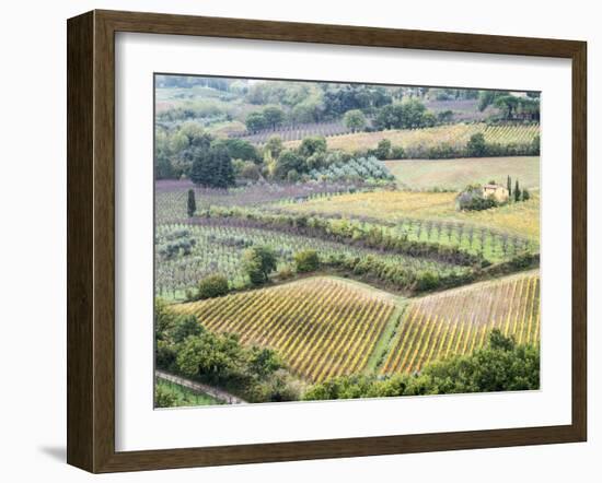 Italy, Tuscany. Vineyards and Olive Trees in Autumn in the Val Dorcia-Julie Eggers-Framed Premium Photographic Print