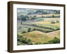 Italy, Tuscany. Vineyards and Olive Trees in Autumn in the Val Dorcia-Julie Eggers-Framed Premium Photographic Print
