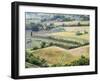 Italy, Tuscany. Vineyards and Olive Trees in Autumn in the Val Dorcia-Julie Eggers-Framed Premium Photographic Print