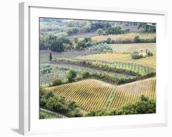 Italy, Tuscany. Vineyards and Olive Trees in Autumn in the Val Dorcia-Julie Eggers-Framed Photographic Print