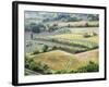 Italy, Tuscany. Vineyards and Olive Trees in Autumn in the Val Dorcia-Julie Eggers-Framed Photographic Print