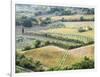 Italy, Tuscany. Vineyards and Olive Trees in Autumn in the Val Dorcia-Julie Eggers-Framed Photographic Print