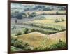 Italy, Tuscany. Vineyards and Olive Trees in Autumn in the Val Dorcia-Julie Eggers-Framed Photographic Print