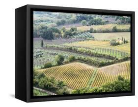 Italy, Tuscany. Vineyards and Olive Trees in Autumn in the Val Dorcia-Julie Eggers-Framed Stretched Canvas