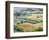 Italy, Tuscany. Vineyards and Olive Trees in Autumn in the Val Dorcia-Julie Eggers-Framed Photographic Print