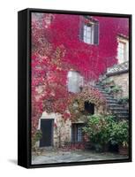 Italy, Tuscany, Volpaia. Red Ivy Covering the Walls of the Buildings-Julie Eggers-Framed Stretched Canvas