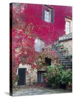 Italy, Tuscany, Volpaia. Red Ivy Covering the Walls of the Buildings-Julie Eggers-Stretched Canvas