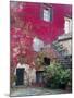 Italy, Tuscany, Volpaia. Red Ivy Covering the Walls of the Buildings-Julie Eggers-Mounted Premium Photographic Print