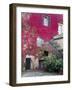 Italy, Tuscany, Volpaia. Red Ivy Covering the Walls of the Buildings-Julie Eggers-Framed Photographic Print