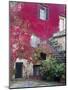 Italy, Tuscany, Volpaia. Red Ivy Covering the Walls of the Buildings-Julie Eggers-Mounted Photographic Print
