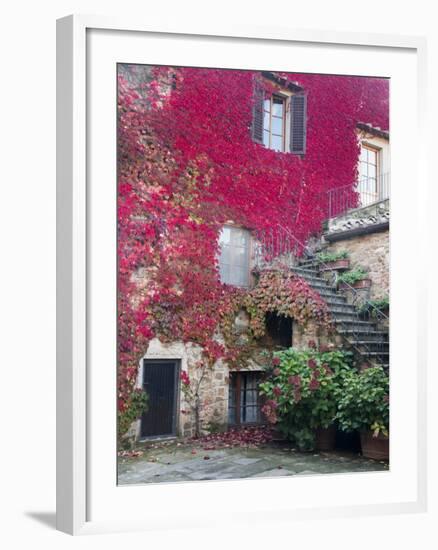 Italy, Tuscany, Volpaia. Red Ivy Covering the Walls of the Buildings-Julie Eggers-Framed Photographic Print