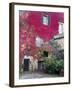 Italy, Tuscany, Volpaia. Red Ivy Covering the Walls of the Buildings-Julie Eggers-Framed Photographic Print